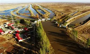 河套鲸鲨队鏖战江南黑豹队，游泳公开赛守住胜果，替补奇兵立功。韧性与执行并存
